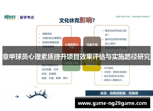 意甲球员心理素质提升项目效果评估与实施路径研究