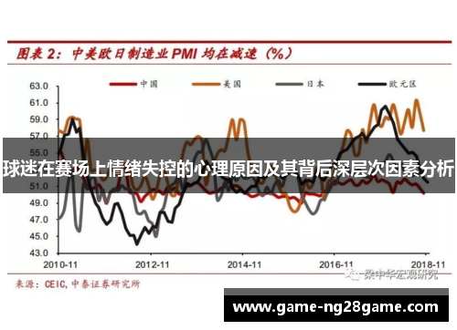 球迷在赛场上情绪失控的心理原因及其背后深层次因素分析