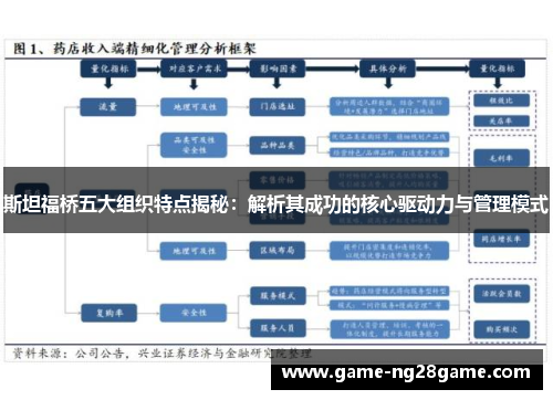 斯坦福桥五大组织特点揭秘：解析其成功的核心驱动力与管理模式