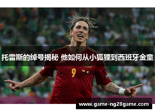 托雷斯的绰号揭秘 他如何从小狐狸到西班牙金童