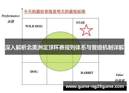 深入解析北美洲足球杯赛规则体系与晋级机制详解
